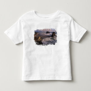 Nordamerika, USA, Washington, Olympic NP, Tee
