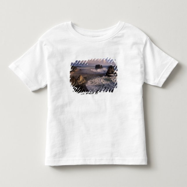 Nordamerika, USA, Washington, Olympic NP, Tee (Framsida)