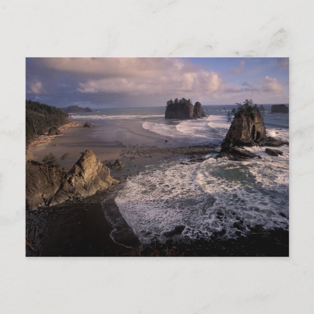 Nordamerika, USA, Washington, Olympic NP, Vykort (Framsida)