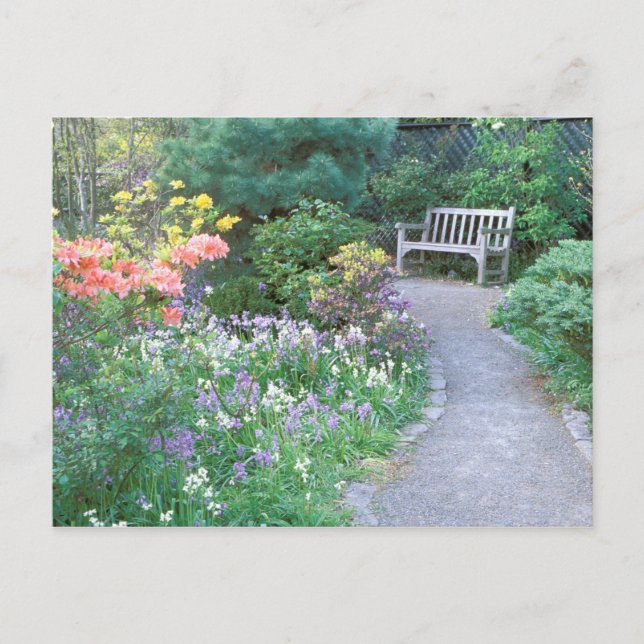 Nordamerika, USA, Washington, Seattle. 5 Vykort (Framsida)