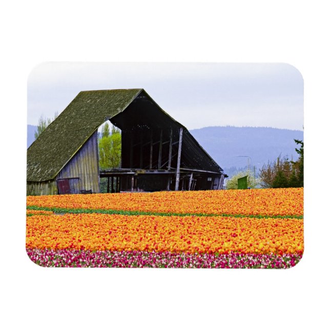 Nordamerika, USA, Washington, Skagit Valley. 2 Magnet (Horisontell)