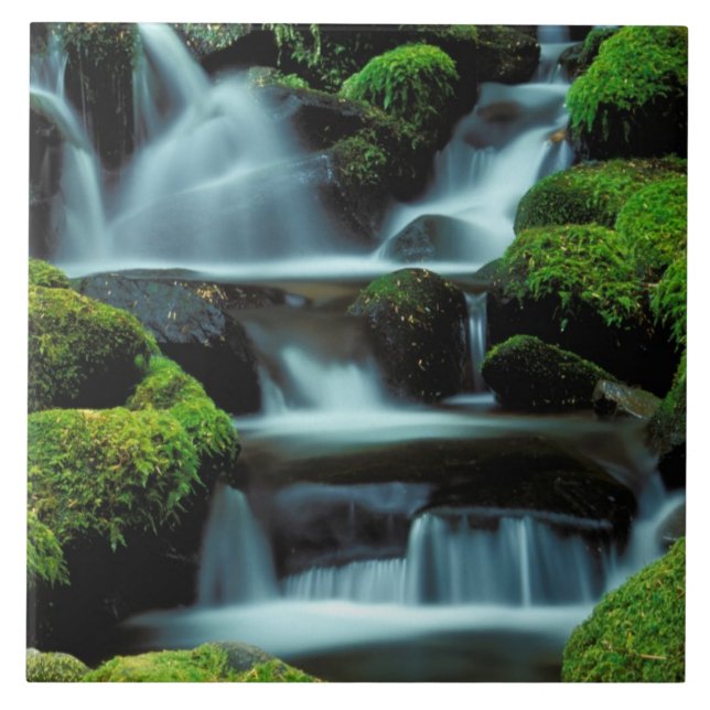 Nordamerika.USA. Washington, Sol Duc Cascade Kakelplatta (Framsidan)
