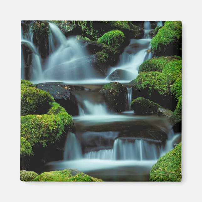 Nordamerika; USA; Washington, Sol Duc Cascade Magnet (Framsidan)