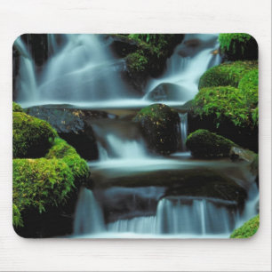 Nordamerika; USA; Washington, Sol Duc Cascade Musmatta