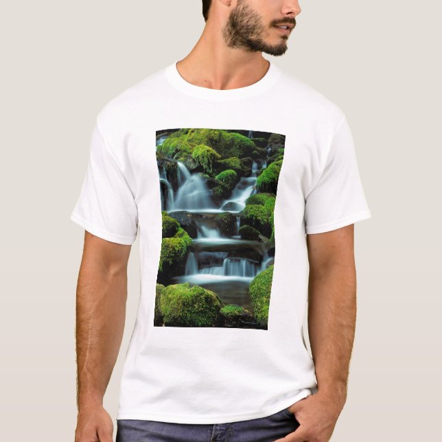 Nordamerika; USA; Washington, Sol Duc Cascade Tee (Framsida)