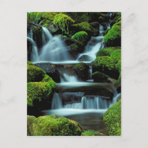 Nordamerika; USA; Washington, Sol Duc Cascade Vykort