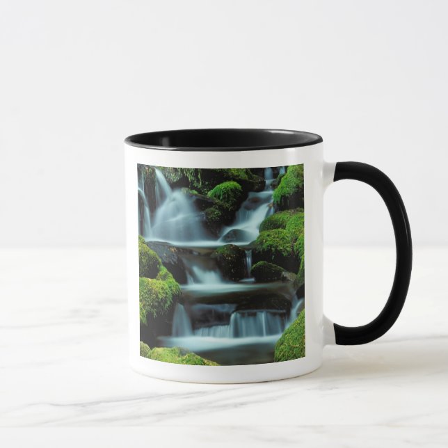 Nordamerika; USA; Washington, Sol Duc kaskad Mugg (Höger)
