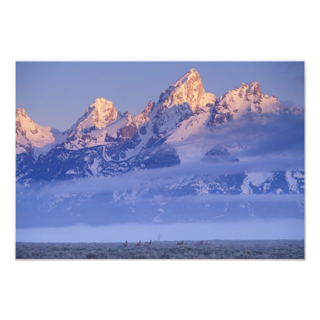 Nordamerika, USA, Wyoming, Grand Teton NP, 2 Fototryck (Framsidan)