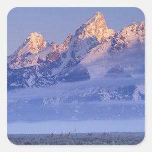Nordamerika, USA, Wyoming, Grand Teton NP, 2 Fyrkantigt Klistermärke