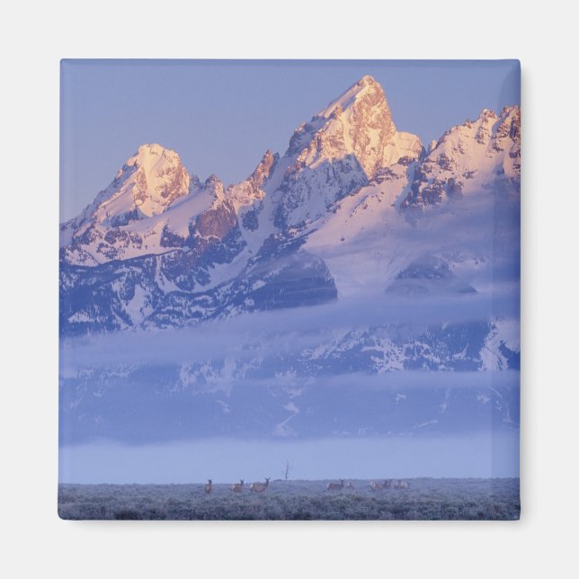 Nordamerika, USA, Wyoming, Grand Teton NP, 2 Magnet (Framsidan)