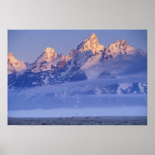 Nordamerika, USA, Wyoming, Grand Teton NP, 2 Poster