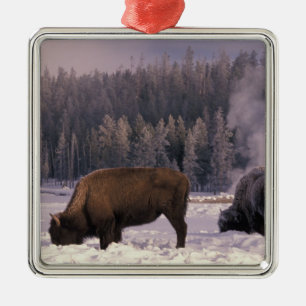Nordamerika, USA, Wyoming, Yellowstone NP, Julgransprydnad Metall