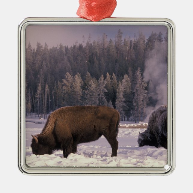 Nordamerika, USA, Wyoming, Yellowstone NP Julgransprydnad Metall (Framsidan)