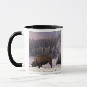 Nordamerika, USA, Wyoming, Yellowstone NP, Mugg