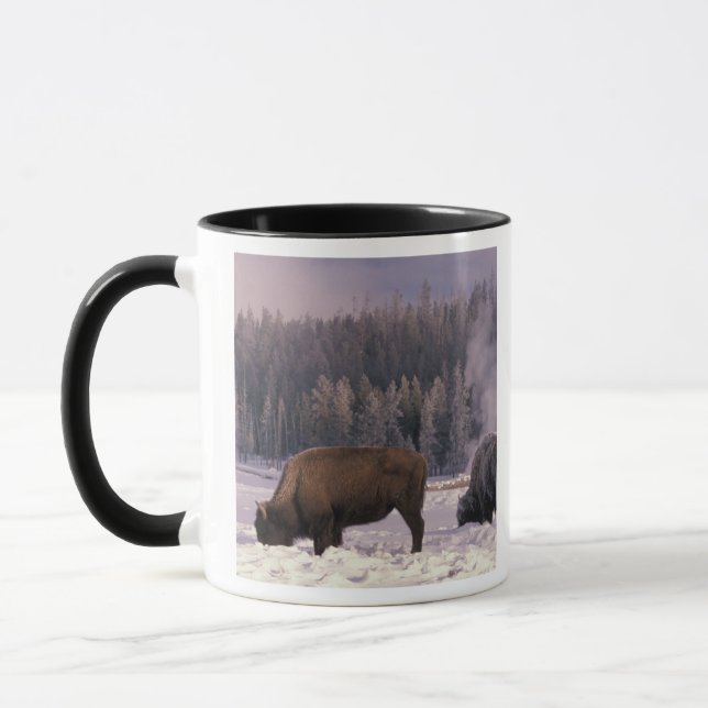 Nordamerika, USA, Wyoming, Yellowstone NP Mugg (Vänster)