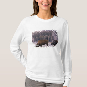 Nordamerika, USA, Wyoming, Yellowstone NP, Tee Shirt
