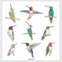 Nordamerikansk Hummingbird Sticker