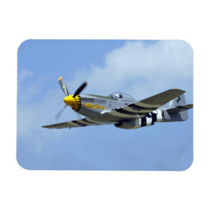 Nordamerikansk P-51D Mustang, Little Horse Magnet