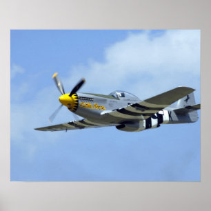 Nordamerikansk P-51D Mustang, Little Horse Poster