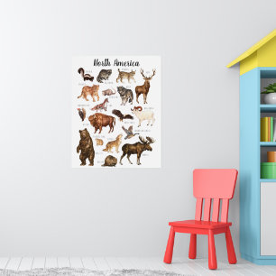 Nordamerikanska djur   Utbildningsklassrum Poster