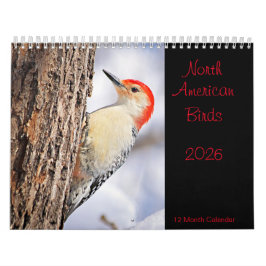 Nordamerikanska fåglar 2026 Kalender