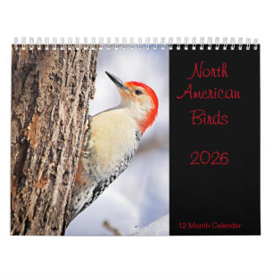Nordamerikanska fåglar 2026 Kalender