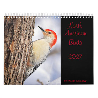Nordamerikanska fåglar 2027 kalender