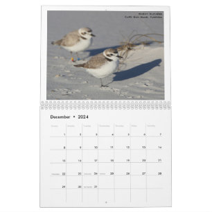 Nordamerikanska fåglar av Emily Willoughby Kalender