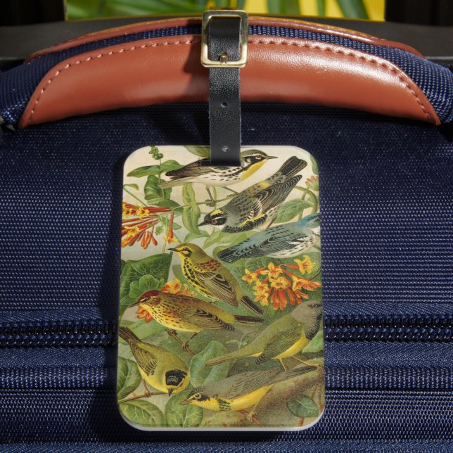 Nordamerikanska fåglar | Gustav Mü tzel Bagagebricka (Framsida Insitu 2)