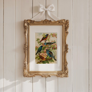 Nordamerikanska fåglar   Gustav Mü tzel Poster