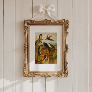 Nordamerikanska fåglar   Gustav Mü tzel Poster