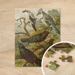 Nordamerikanska fåglar | Gustav Mü tzel Pussel<br><div class="desc">En illustration från den tyska konstnären Gustav Mü tzel från 1891 bok Die Nordamerikanische Vogelwelt (Nordamerikanska fågelvärlden). I bok beskrivs var och en av de nordamerikanska fåglar som Heinrich Nehrling hade upptäckt eller läst om. Mängden illustreras på ett utmärkt sätt av professor Robert Ridgway från Smithsoniska institutionen och nationella museet...</div>