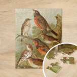 Nordamerikanska fåglar | Gustav Mü tzel Pussel<br><div class="desc">En illustration från den tyska konstnären Gustav Mü tzel från 1891 bok Die Nordamerikanische Vogelwelt (Nordamerikanska fågelvärlden). I bok beskrivs var och en av de nordamerikanska fåglar som Heinrich Nehrling hade upptäckt eller läst om. Mängden illustreras på ett utmärkt sätt av professor Robert Ridgway från Smithsoniska institutionen och nationella museet...</div>