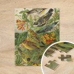 Nordamerikanska fåglar | Gustav Mü tzel Pussel<br><div class="desc">En illustration från den tyska konstnären Gustav Mü tzel från 1891 bok Die Nordamerikanische Vogelwelt (Nordamerikanska fågelvärlden). I bok beskrivs var och en av de nordamerikanska fåglar som Heinrich Nehrling hade upptäckt eller läst om. Mängden illustreras på ett utmärkt sätt av professor Robert Ridgway från Smithsoniska institutionen och nationella museet...</div>