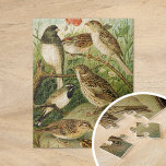 Nordamerikanska fåglar | Gustav Mü tzel Pussel<br><div class="desc">En illustration från den tyska konstnären Gustav Mü tzel från 1891 bok Die Nordamerikanische Vogelwelt (Nordamerikanska fågelvärlden). I bok beskrivs var och en av de nordamerikanska fåglar som Heinrich Nehrling hade upptäckt eller läst om. Mängden illustreras på ett utmärkt sätt av professor Robert Ridgway från Smithsoniska institutionen och nationella museet...</div>