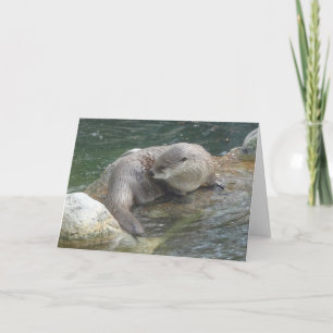 Nordamerikanska floden Otter #2 Kort