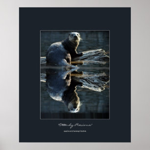 Nordamerikanska floden Otter på en log Wildlife Ph Poster