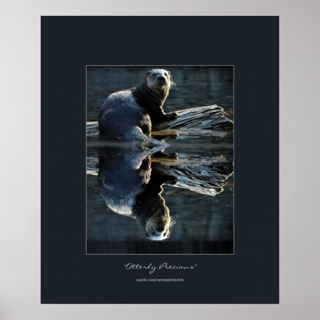 Nordamerikanska floden Otter på en log Wildlife Ph Poster (Framsidan)