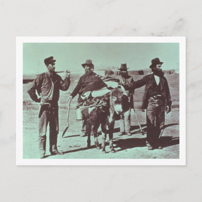 Nordamerikanska guld-grävare, c.1849 (b/w bild) vykort (Framsida)