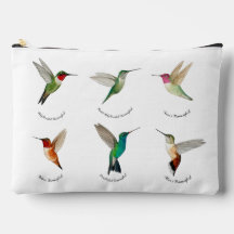 Nordamerikanska Hummingbird