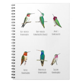 Nordamerikanska Hummingbird Anteckningsbok