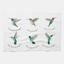 Nordamerikanska Hummingbird