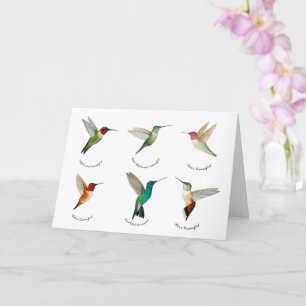Nordamerikanska Hummingbird Kort