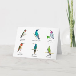Nordamerikanska Hummingbird-kort Kort