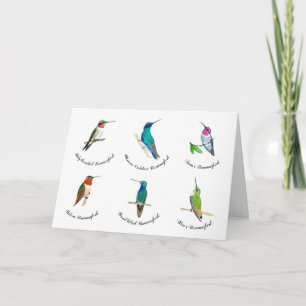 Nordamerikanska Hummingbird-kort Kort