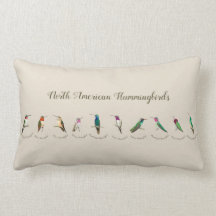 Nordamerikanska Hummingbird