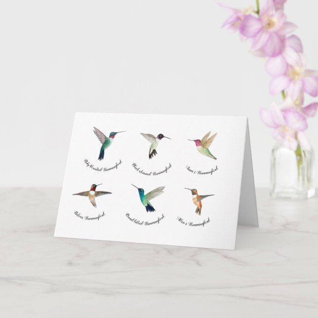 Nordamerikanska Hummingfåglar   Kort (Orkide)