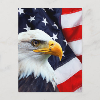 Nordamerikanska Örn på amerikanska flagga Vykort