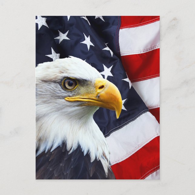 Nordamerikanska Örn på amerikanska flagga Vykort (Framsida)