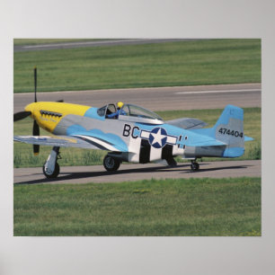 Nordamerikanska P-51 D Dazzling Donna på Poster